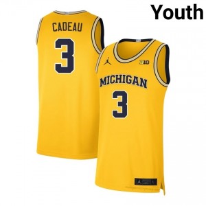 #3 Elliot Cadeau Maize Premium UM Wolverines Youth Jersey | Big Ten University Hoops Excellence & Stitched 66Yy4X1M